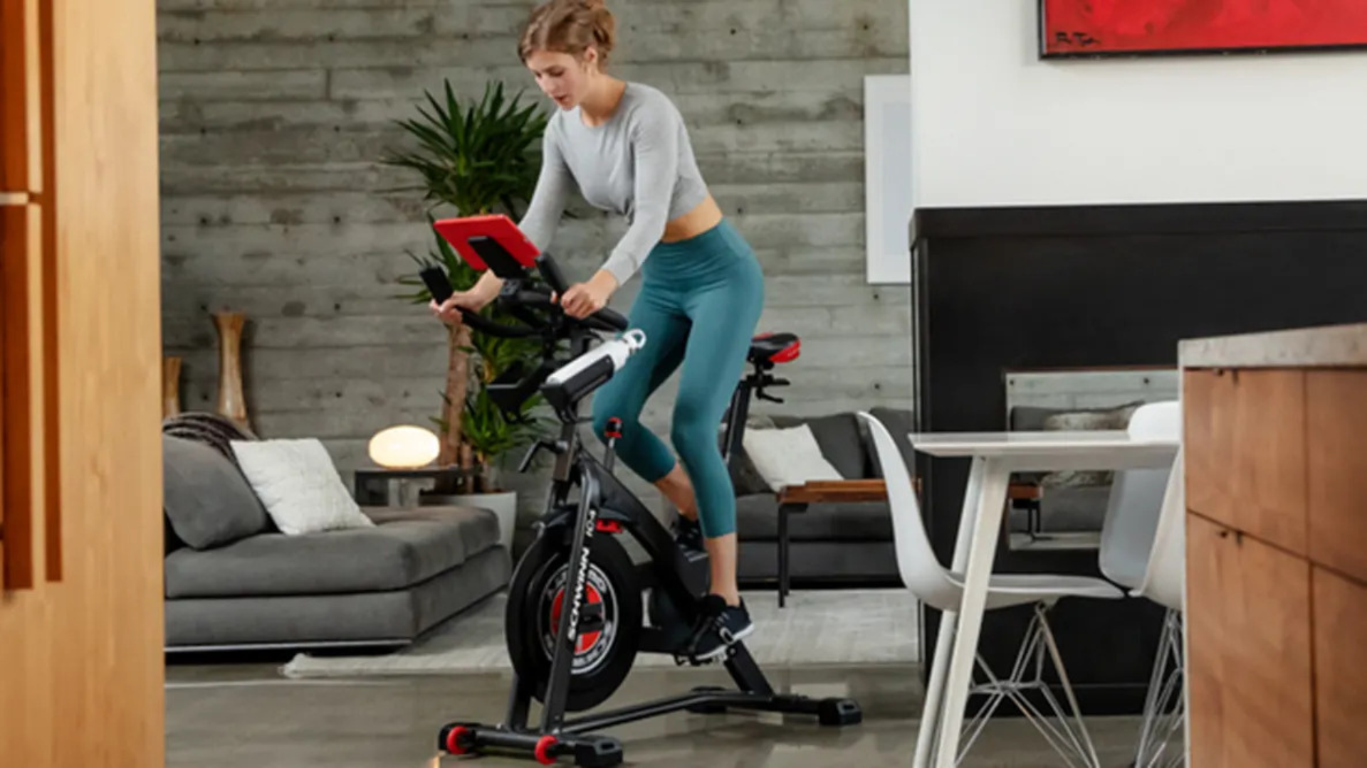 Schwinn IC4 Indoor Cycling Bike